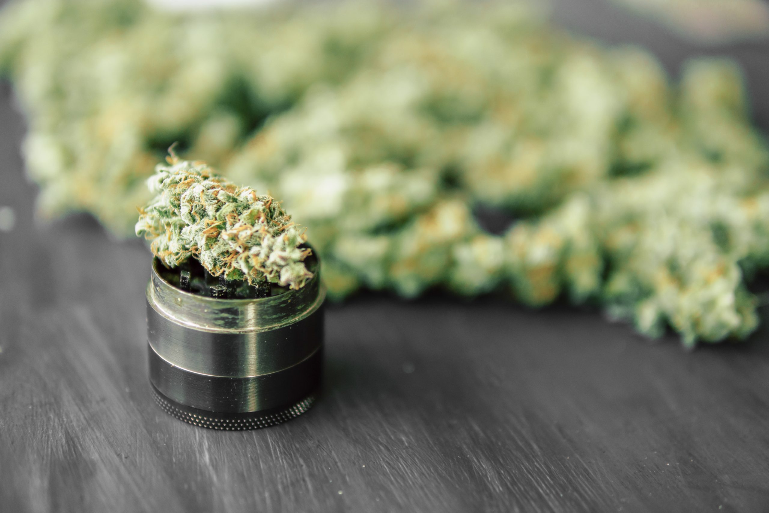 metal cannabis grinder on a gray table surrounded by cannabis
