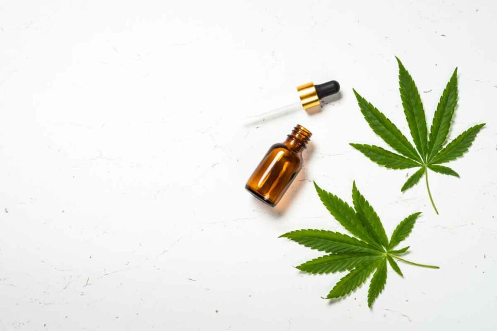 Cannabis leaves and tincture bottle