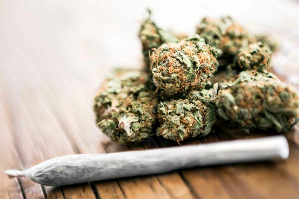 Cannabis pre-roll and flower