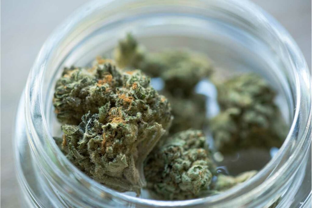 BC bud (cannabis flower) in a jar.